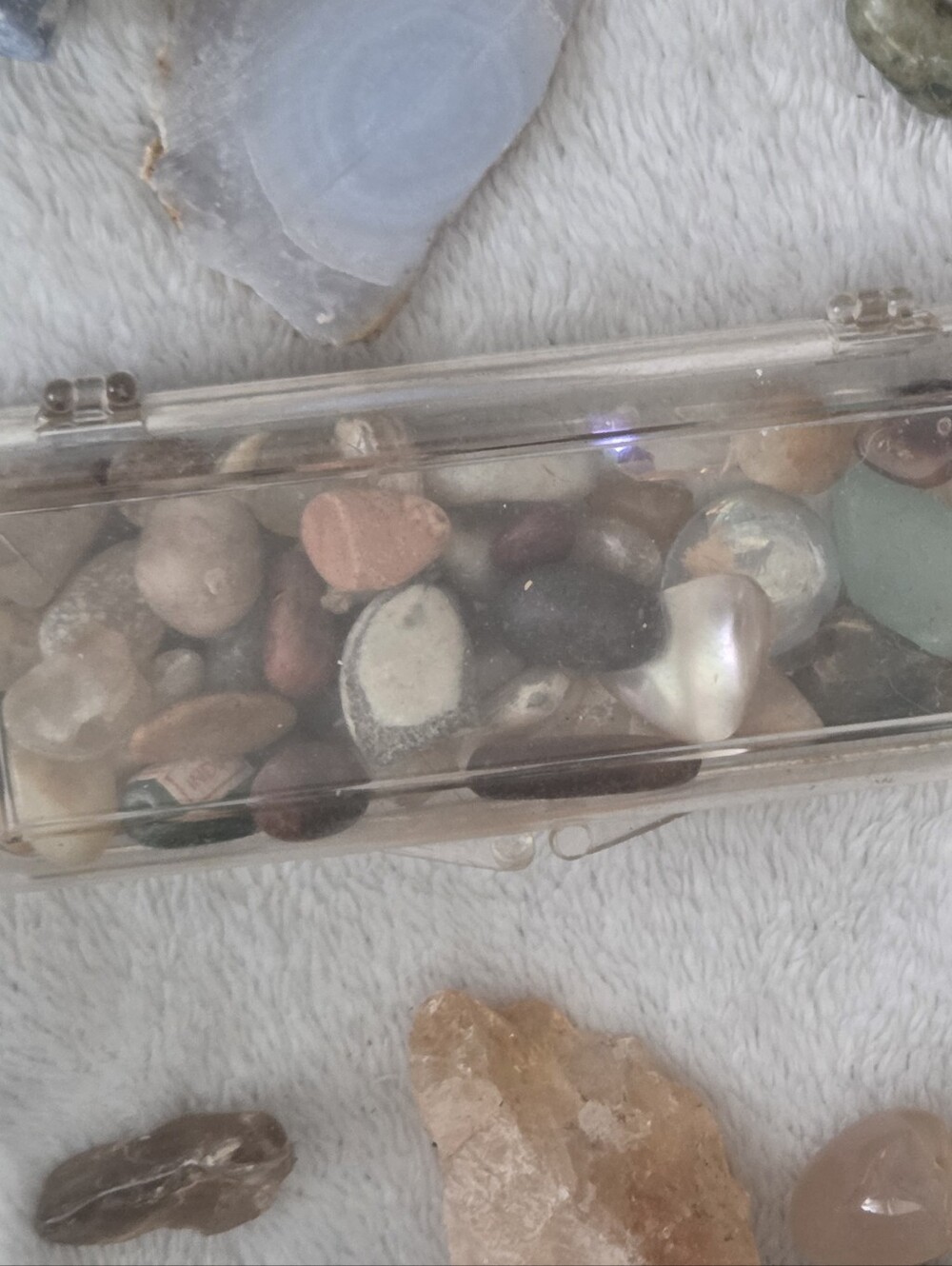 Random Shells - Picture 2 of 15